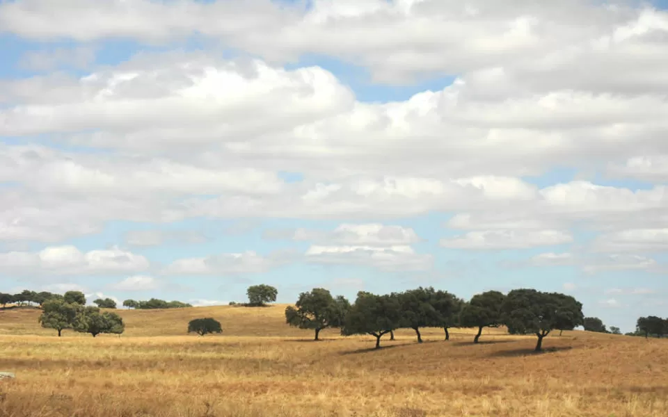 Comissão Europeia aprova reprogramação do Programa Regional Alentejo 2030