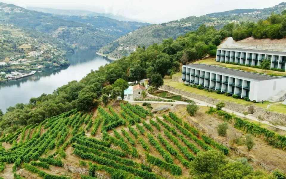 CIM Douro aprova quase 20 milhões de euros de investimento para apoio às empresas da região