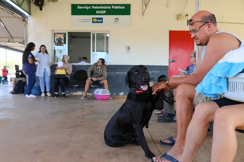 Falta de médicos no Hospital Veterinário Público do DF impacta atendimento a animais abandonados e famílias vulneráveis