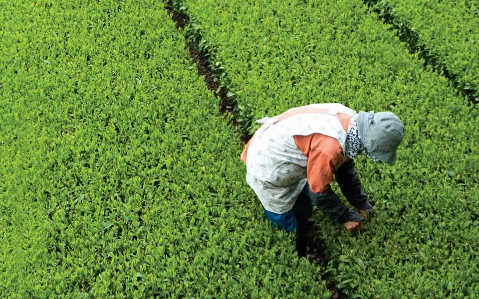 “Ameaça” e “concorrência desleal”: Confragi teme efeito do acordo da Mercosul