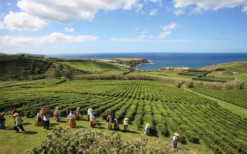 Açores quer reforçar operação no inverno para se valorizar como destino turístico