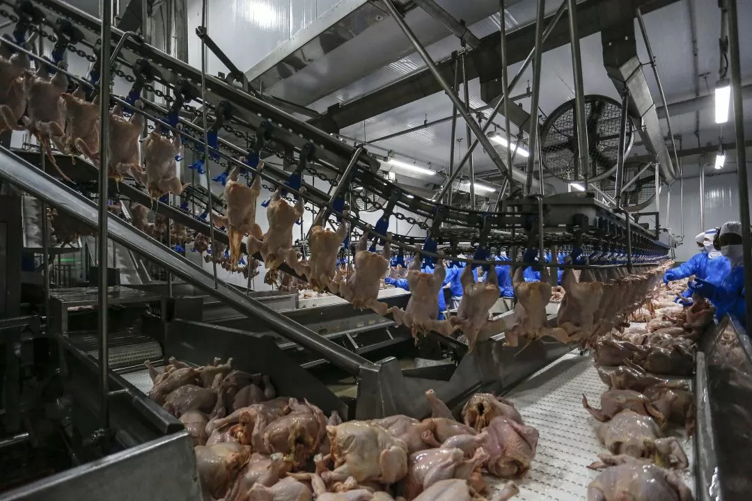 Brasil regulamentará salvaguardas em acordos comerciais
