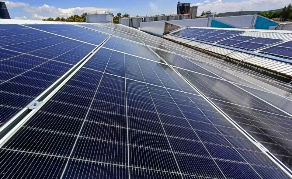 GEOTA quer “ação imediata” em Lisboa para executar o contrato climático e o reforço da transição energética