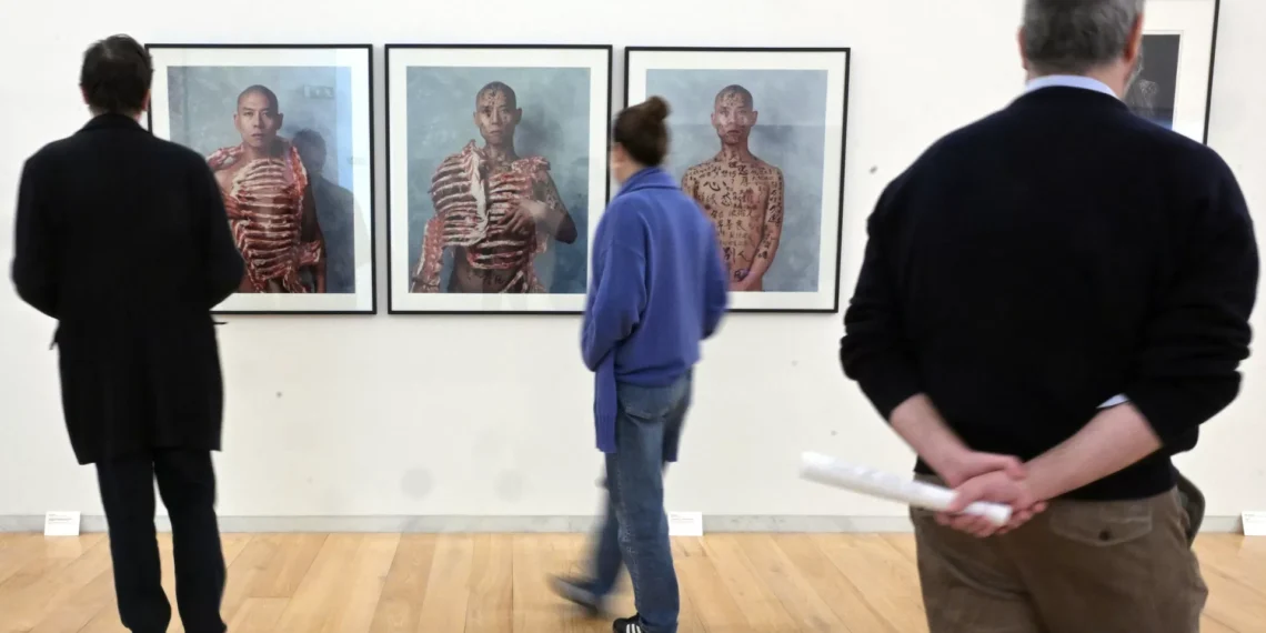 Coleção Mário Teixeira da Silva exposta em Serralves até junho