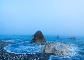 “O Futuro do Mercado Imobiliário na Costa del Sol”