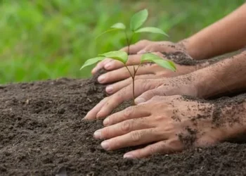 Jornada de Agroecologia começa nesta quarta-feira (4), em Curitiba