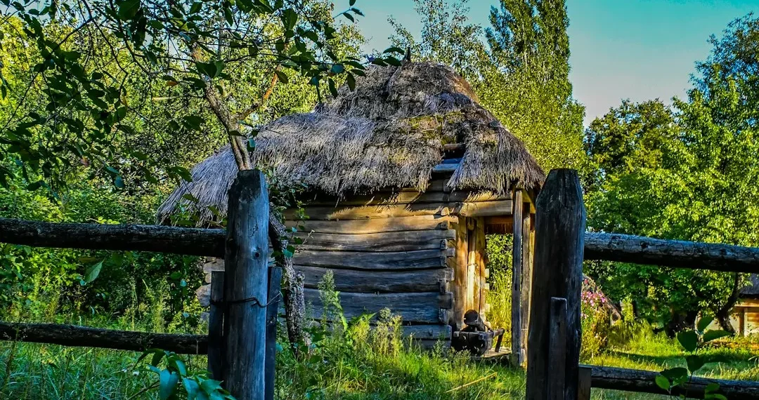“Explorando a Economia: Experiências Positivas”