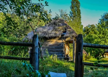 “Explorando a Economia: Experiências Positivas”