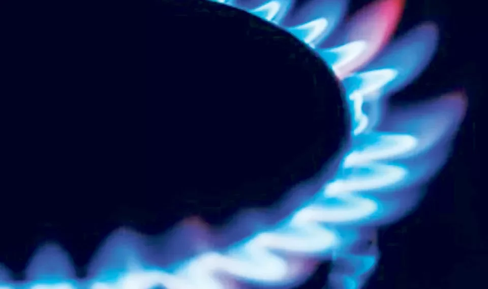 Aumento do apoio à compra de botijas de gás entra em vigor quinta-feira