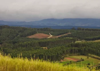 Fundo Ambiental aprova 14 projetos com 2,1 milhões para apoio a aldeias em territórios de floresta