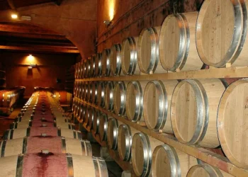 CAP exige que Governo português proteja a fileira do vinho português