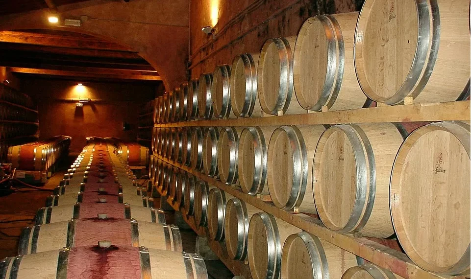 CAP exige que Governo português proteja a fileira do vinho português