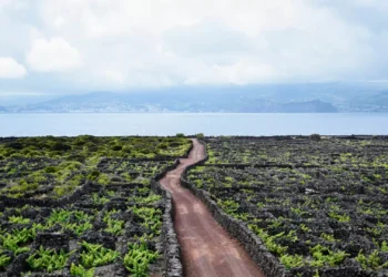 Festival promove subida ao Pico e celebra 25 de Abril com Zeca Medeiros