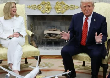 Donald Trump e Giorgia Meloni concordam em não discriminar ou taxar serviços digitais e empresas de tecnologia