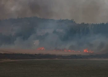 Israel emite alerta máximo por incêndios devastadores na região de Jerusalém