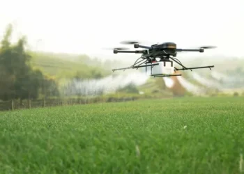 Agrotóxicos são ‘forma mais cruel’ de barrar resistência camponesa, denuncia coordenadora da CPT