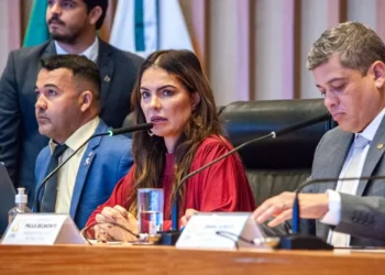 Rio Melchior: presidenta da CPI diz que participa como ‘aprendiz’ e que comissão será ‘propositiva’