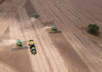 Tarifaço de Trump e alta do dólar aumentam pressão sobre valor da comida no Brasil