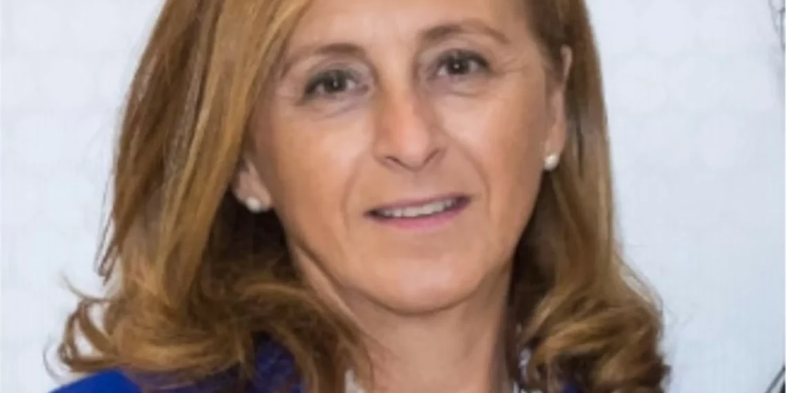 Presidente da Casa da Música quer lutar por aumento de financiamento