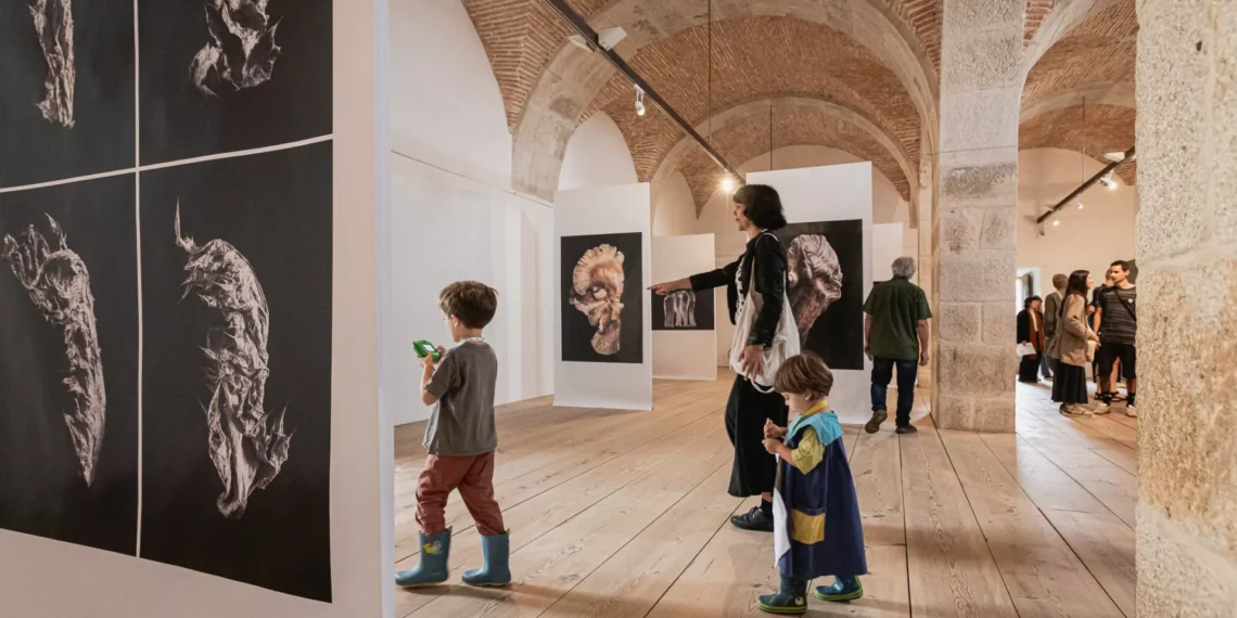 Encontros de Imagem entre setembro e novembro em Braga e do Porto