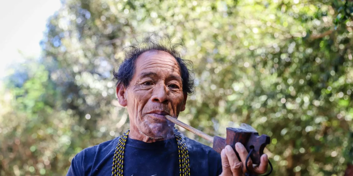 Mbyá Guarani retomam territórios para preservar cultura, floresta e futuro das novas gerações