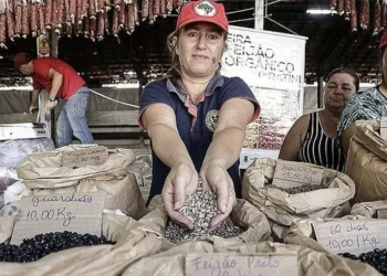 Arroz, feijão e revolução: confira os preparativos para a Feira da Reforma Agrária do MST