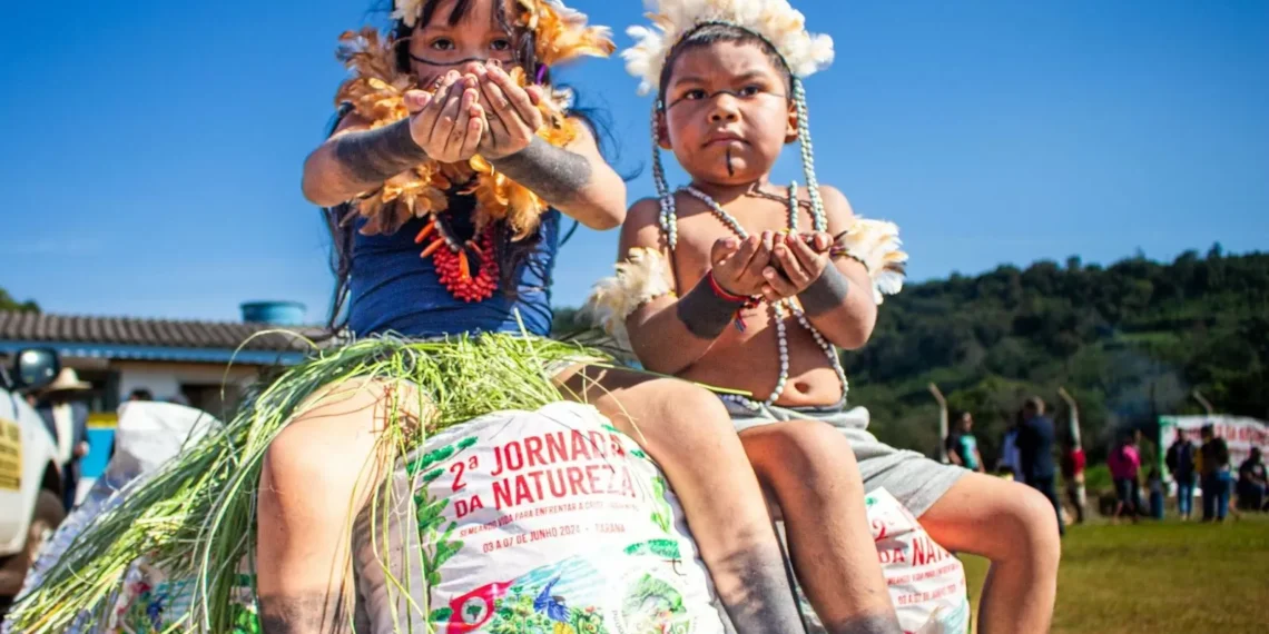 MST-PR anuncia 3ª Jornada da Natureza com ações massivas de reflorestamento da mata atlântica