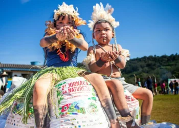 MST-PR anuncia 3ª Jornada da Natureza com ações massivas de reflorestamento da mata atlântica