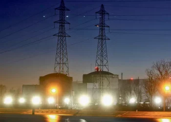 Portal da Queixa: Mais de 41% dos portugueses afirma que Governo e entidades públicas não lidaram bem com o apagão