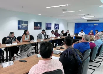 Apesar de recomendações do MP, Secretaria do DF não aumenta prazo para consulta pública sobre Plano Diretor