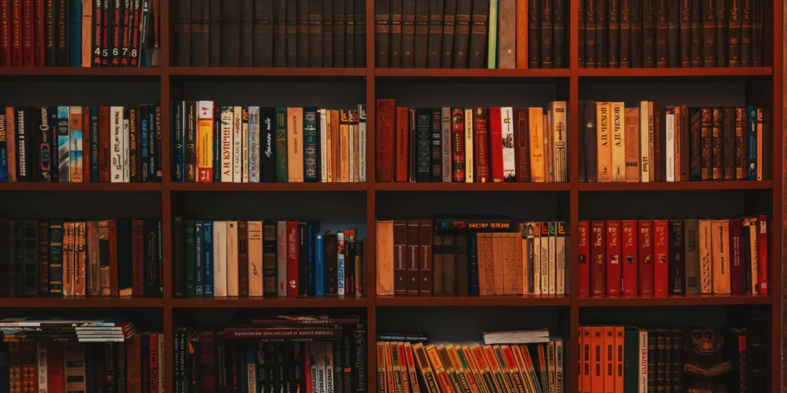 Teresa Machado venceu Prémio Ulysses 2025 com ‘Silêncio Branco’