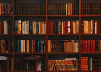 Teresa Machado venceu Prémio Ulysses 2025 com ‘Silêncio Branco’