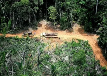 ‘Aproveitam brechas da lei para roubar terras públicas’, diz secretário do Observatório do Clima sobre grileiros