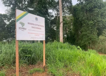 Em nota, conselheiros do Tribunal de Contas defendem ação do ICMBio e o Estado de Direito