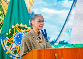 Lula deve vetar trechos do PL do Licenciamento Ambiental, diz Marina Silva