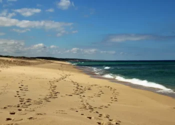 Câmara de Grândola diz que aguarda conclusões do Ministério do Ambiente sobre acesso livre às praias