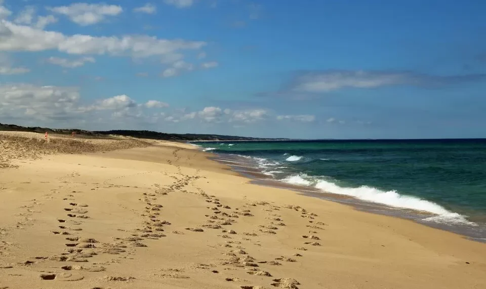 Câmara de Grândola diz que aguarda conclusões do Ministério do Ambiente sobre acesso livre às praias