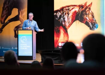 Economia do Cavalo tem um impacto direto de 1,5 mil milhões de euros