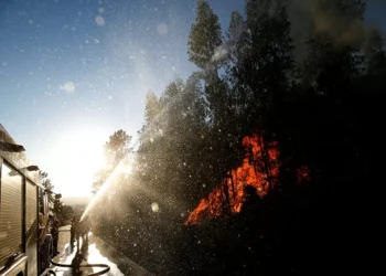 Governo promete “dar passos” anuais para cumprir plano de prevenção de incêndios a 30 anos