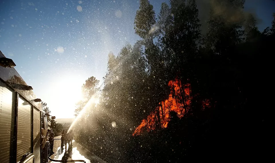 Governo promete “dar passos” anuais para cumprir plano de prevenção de incêndios a 30 anos