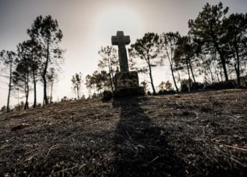 Reforço das políticas para “salvar economia”