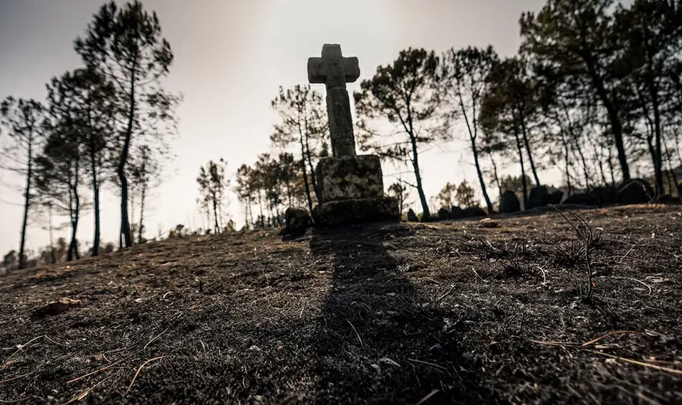 Reforço das políticas para “salvar economia”