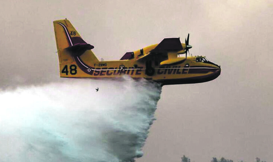 Incêndios: Limite de 10 mil euros no apoios aos agricultores é escasso, diz confederação