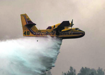 Incêndios: Limite de 10 mil euros no apoios aos agricultores é escasso, diz confederação