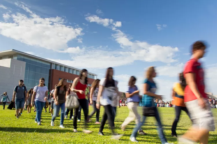 Ensino Superior: 43.899 estudantes colocados na primeira fase, menos 12,1% do que no ano passado
