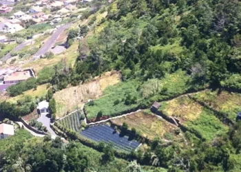 Procura por terrenos rústicos aumenta, mas não para habitação
