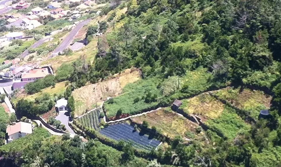 Procura por terrenos rústicos aumenta, mas não para habitação