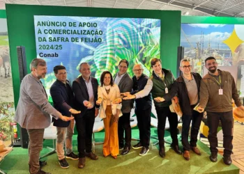 Conab anuncia leilões de R$ 21,7 milhões para garantir preço mínimo do feijão no Sul