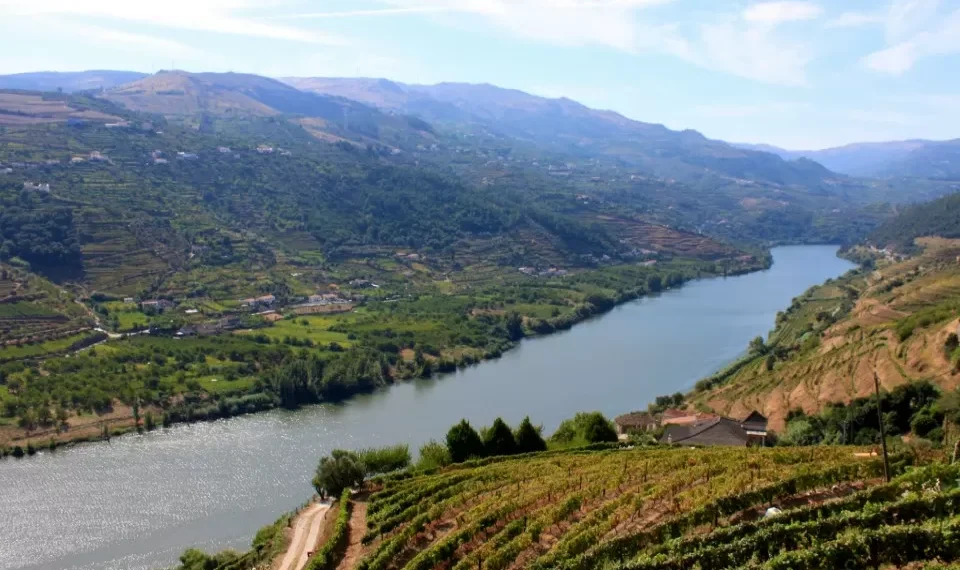 Governo aprova novo Estatuto das Denominações de Origem