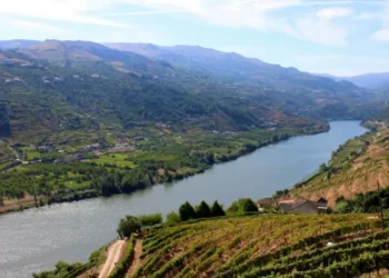 Governo aprova novo Estatuto das Denominações de Origem